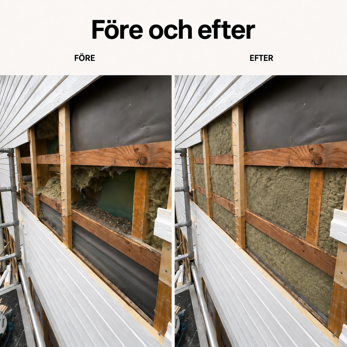 Skadedjursfri Pro